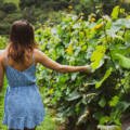 Temperatura ideal para servir vinhos tintos e brancos